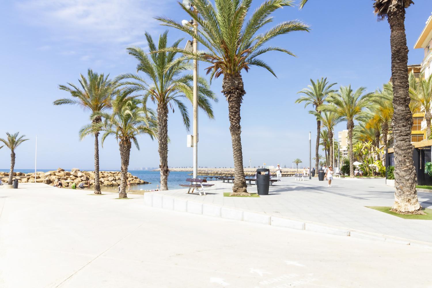 Apartamento Pink Azure Torrevieja Eksteriør bilde
